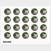 White Savannah Cat Round Sticker (Vel)