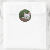 White Savannah Cat Round Sticker (Tas)