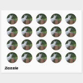White Savannah Cat Round Sticker (Vel)