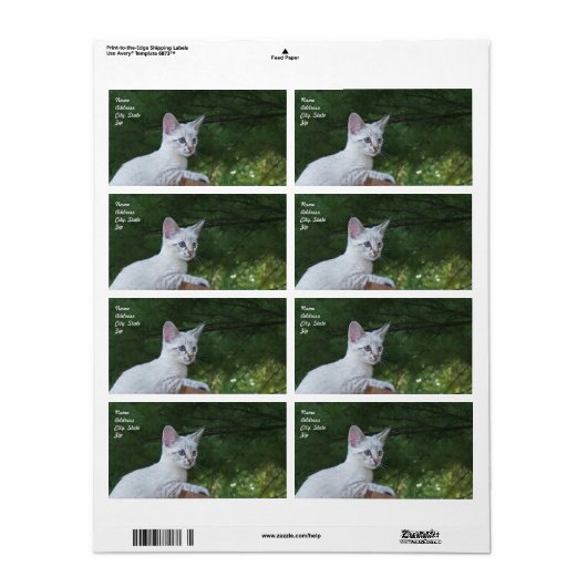 White Savannah Cat Shipping Label (Full Sheet)