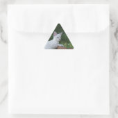 White Savannah Cat Triangle Sticker (Tas)