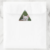 White Savannah Cat Triangle Sticker (Tas)