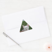 White Savannah Cat Triangle Sticker (Envelop)