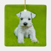 White Schnauzer Puppy Keramisch Ornament (Achterkant)