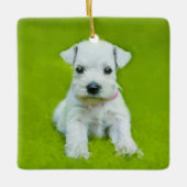 White Schnauzer Puppy Keramisch Ornament (Voorkant)