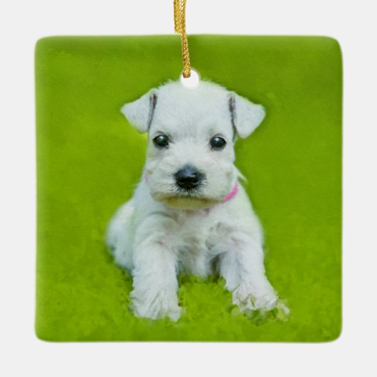 White Schnauzer Puppy Keramisch Ornament (Voorkant)