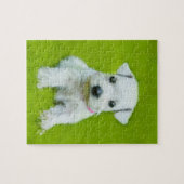 White Schnauzer Puppy Legpuzzel (Horizontaal)