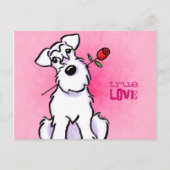 White Schnauzer Roos Love Message Custom Briefkaart (Voorkant)