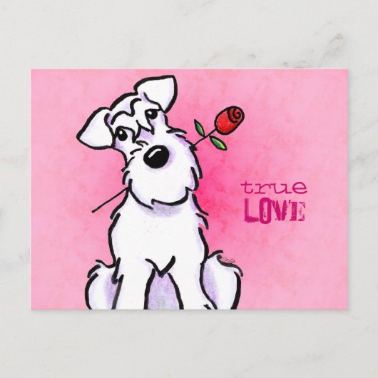 White Schnauzer Roos Love Message Custom Briefkaart (Voorkant)