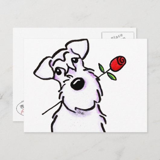 White Schnauzer Sweeite Roos Briefkaart (Voorkant / Achterkant)