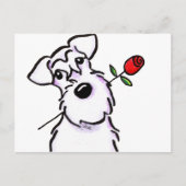 White Schnauzer Sweeite Roos Briefkaart (Voorkant)