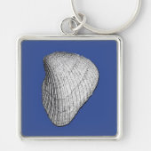 White Seashell Sleutelhanger (Voorkant)