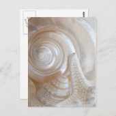 White Seashells Starfish Tropical Beach Sea Shells Briefkaart (Voorkant / Achterkant)