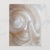 White Seashells Starfish Tropical Beach Sea Shells Briefkaart (Voorkant)