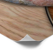 WHITE SHAMAN POSTER (Hoek)