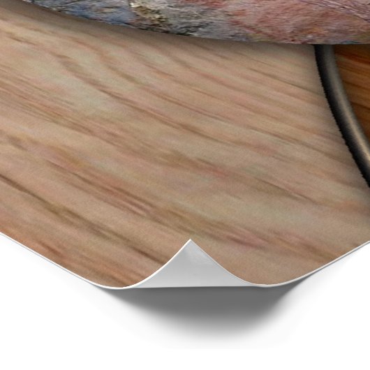 WHITE SHAMAN POSTER (Hoek)