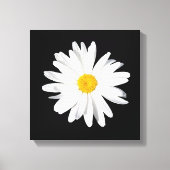 White Shasta Daisy Canvas Print Wall Decor (Voorkant)