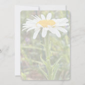 White Shasta Daisy Foto Vrijgezellenfeest Kaart (Achterkant)