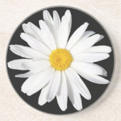 White Shasta Daisy Sandstone Onderzetter (Voorkant)