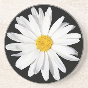 White Shasta Daisy Sandstone Onderzetter