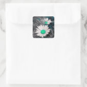 White Shasta Daisy (w/Aqua) Stickers (Tas)