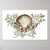 White Shell Poster (Voorkant)