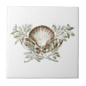 White Shell Tegeltje (Voorkant)