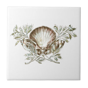 White Shell Tegeltje