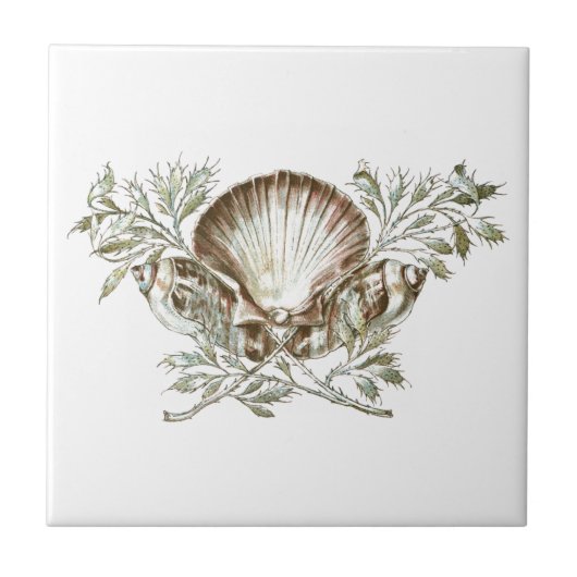 White Shell Tegeltje (Voorkant)