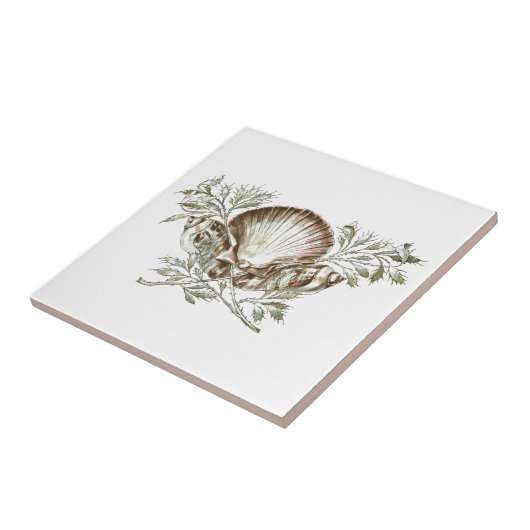 White Shell Tegeltje (Zijkant)