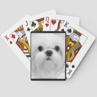 White Shih Tzu-speelkaarten Speelkaarten