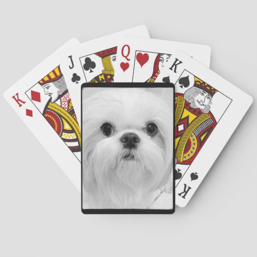 White Shih Tzu-speelkaarten Speelkaarten (Achterkant)