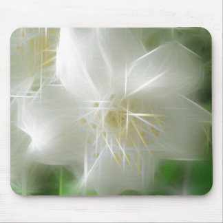White Shiny Jasmine Muismat