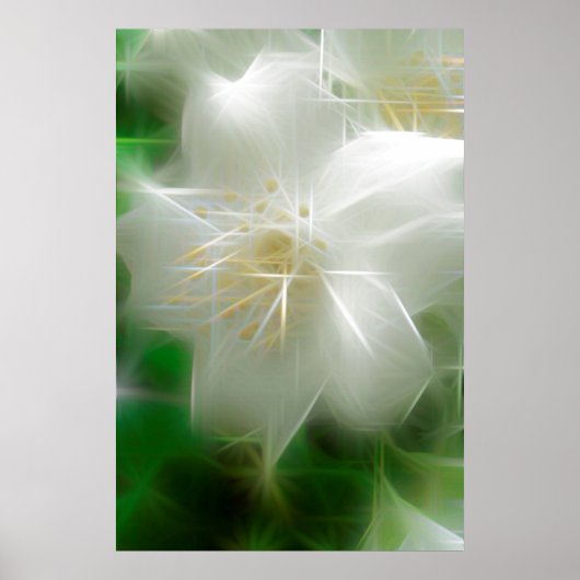 White Shiny Jasmine Poster (Voorkant)