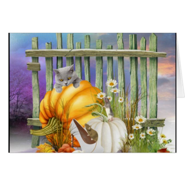 White Shoe Lost in Pumpkin Patch (Voorkant Horizontaal)