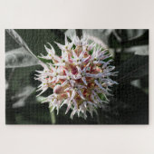 White Showy Milkweed – Natuur Fotografie Legpuzzel (Horizontaal)
