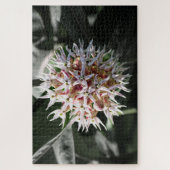 White Showy Milkweed – Natuur Fotografie Legpuzzel (Verticaal)