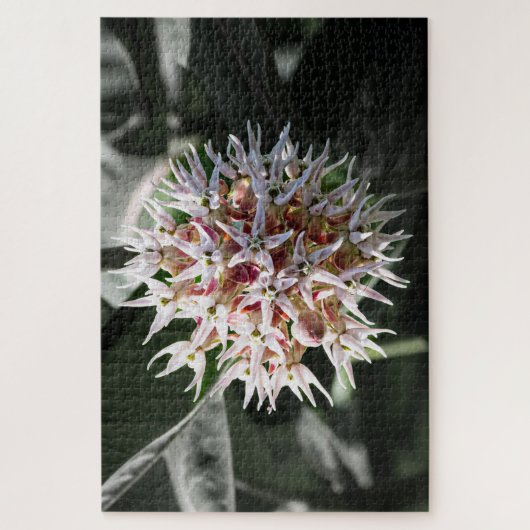 White Showy Milkweed – Natuur Fotografie Legpuzzel (Verticaal)