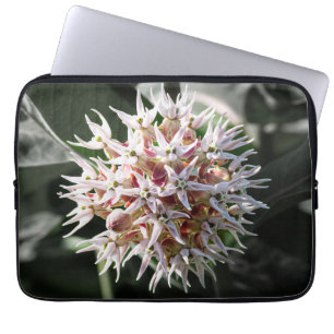 White Showy Milkweed, Wildflower Fotografie Laptop Sleeve