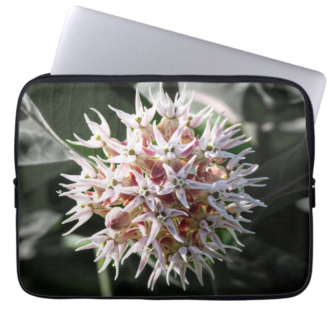 White Showy Milkweed, Wildflower Fotografie Laptop Sleeve (Voorkant)