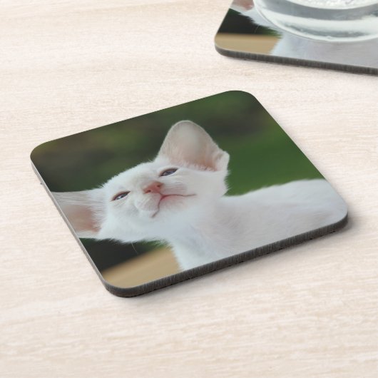 White Siamese kitten Bier Onderzetter (Linkerzijde)