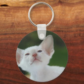 White Siamese kitten Sleutelhanger (Voorkant)