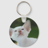 White Siamese kitten Sleutelhanger (Achterkant)