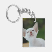 White Siamese kitten Sleutelhanger (Voorkant Links)