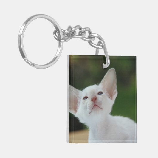 White Siamese kitten Sleutelhanger (Voorkant Links)