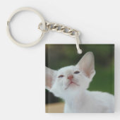 White Siamese kitten Sleutelhanger (Voorkant)
