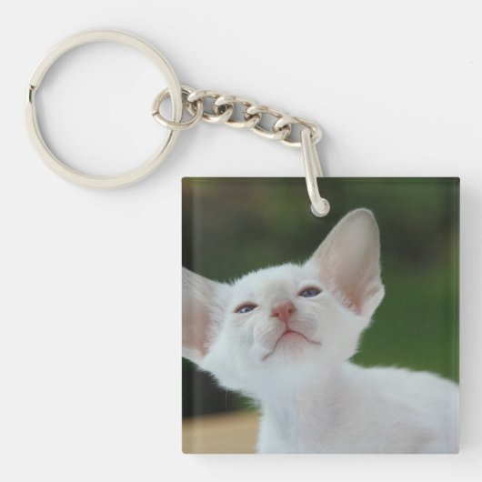 White Siamese kitten Sleutelhanger (Voorkant)