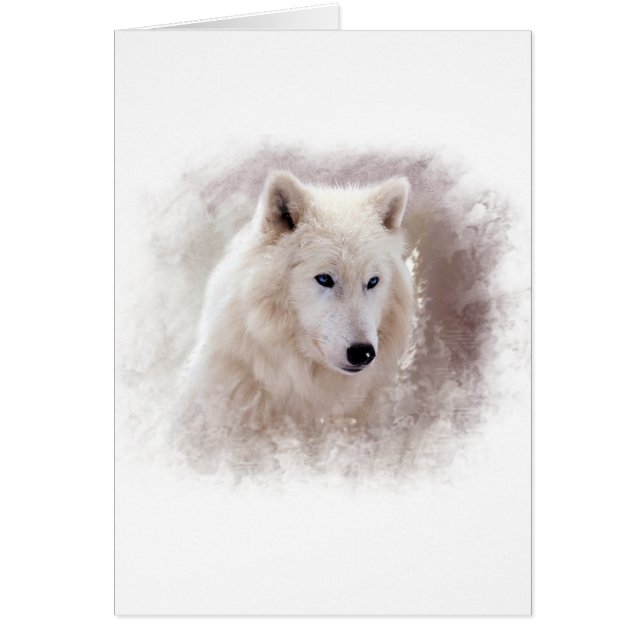 WHITE SIBERIAN HUSKY. (Voorkant)