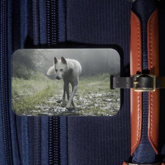 White Siberian Husky Bagagelabel (Voorkant Insitu 4)