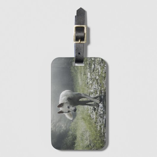 White Siberian Husky Bagagelabel (Voorkant (verticaal))